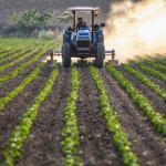 Agriculture Land