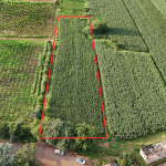 49 Guntha Agricultural Land for Sale – Bheemsamudra Road, Chitradurga