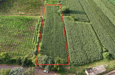 49 Guntha Agricultural Land for Sale – Bheemsamudra Road, Chitradurga